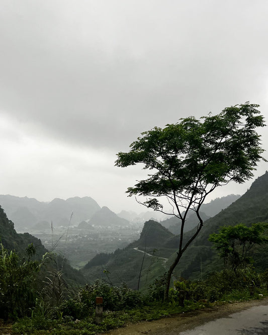 Ha Giang