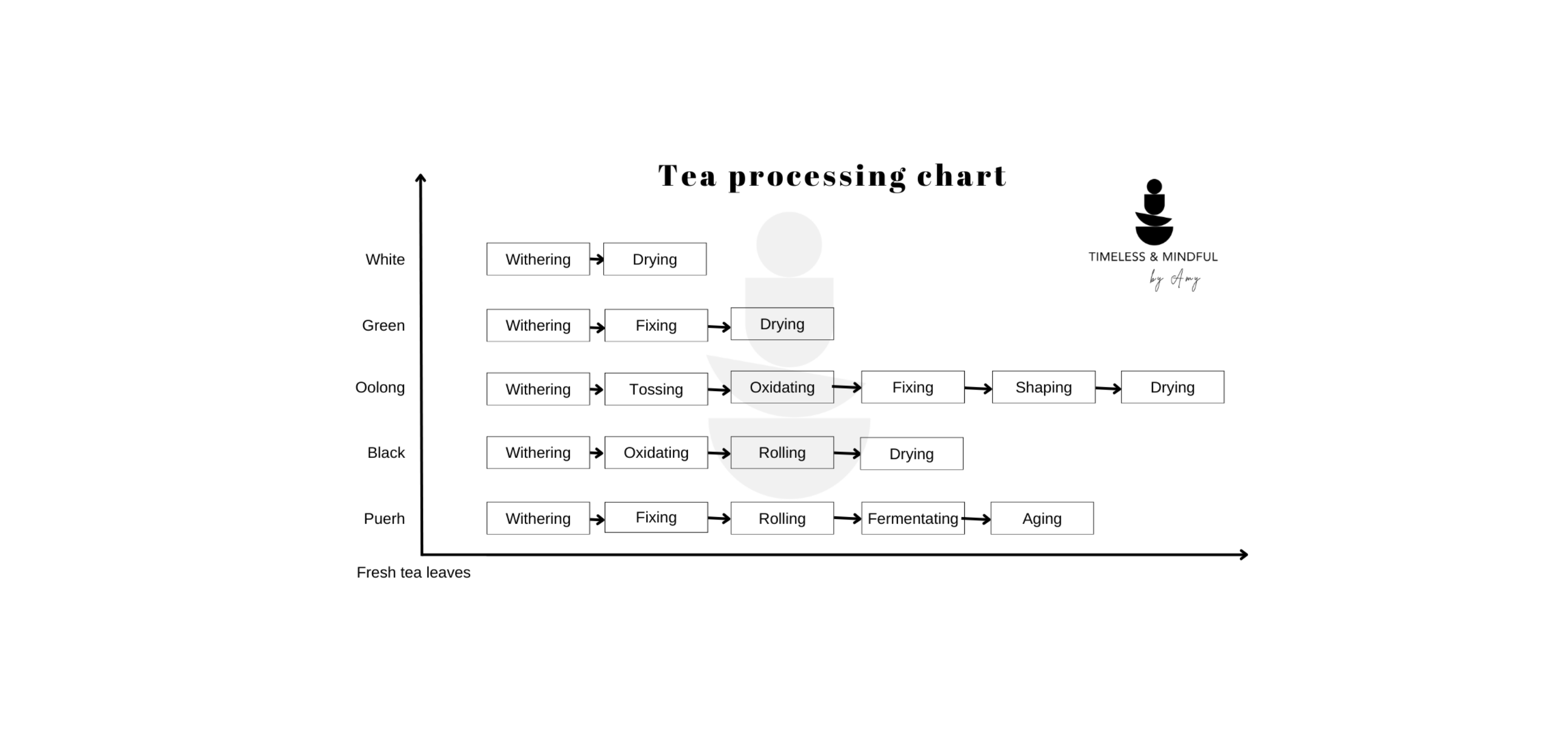 The Art of Tea - How One Plant Becomes Many Teas – Timeless & Mindful ...