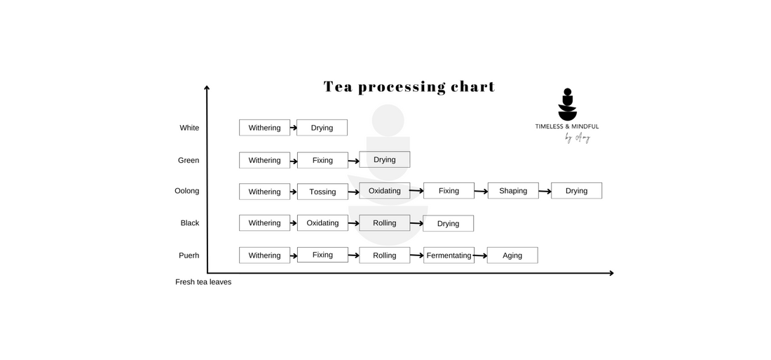 The Art of Tea - How One Plant Becomes Many Teas